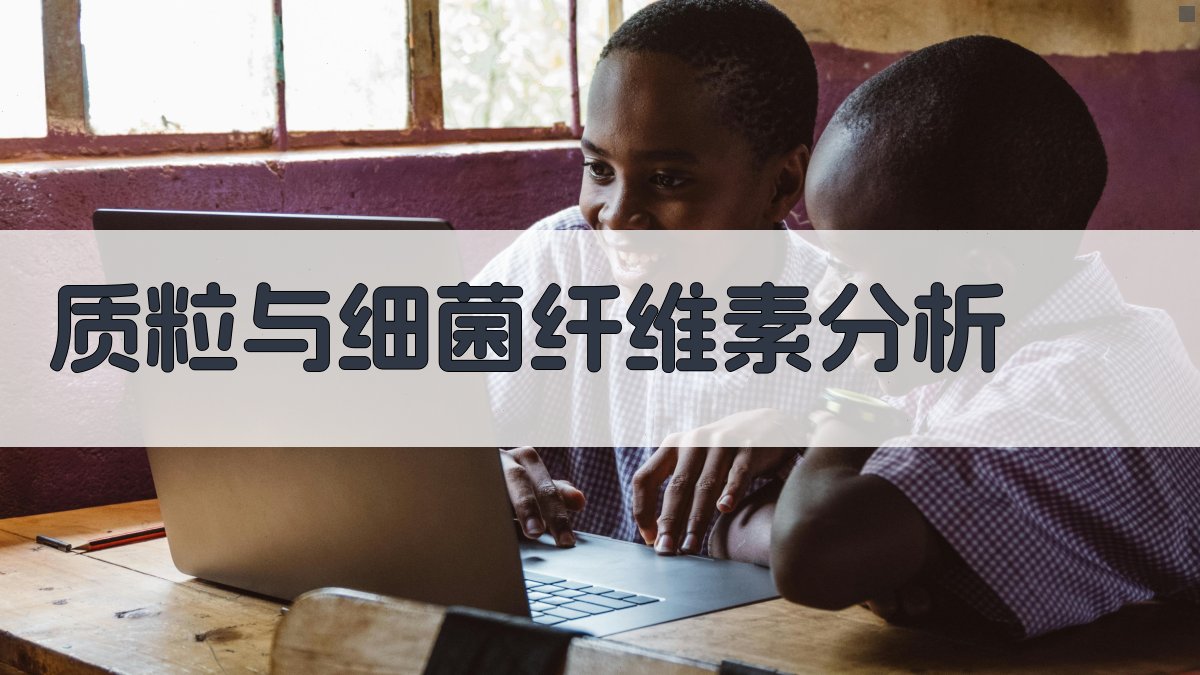 AI质粒与细菌纤维素分析