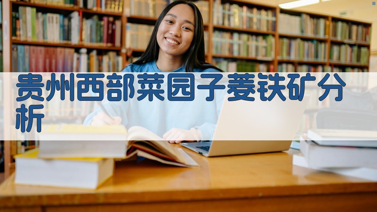 AI 贵州西部菜园子菱铁矿分析工具