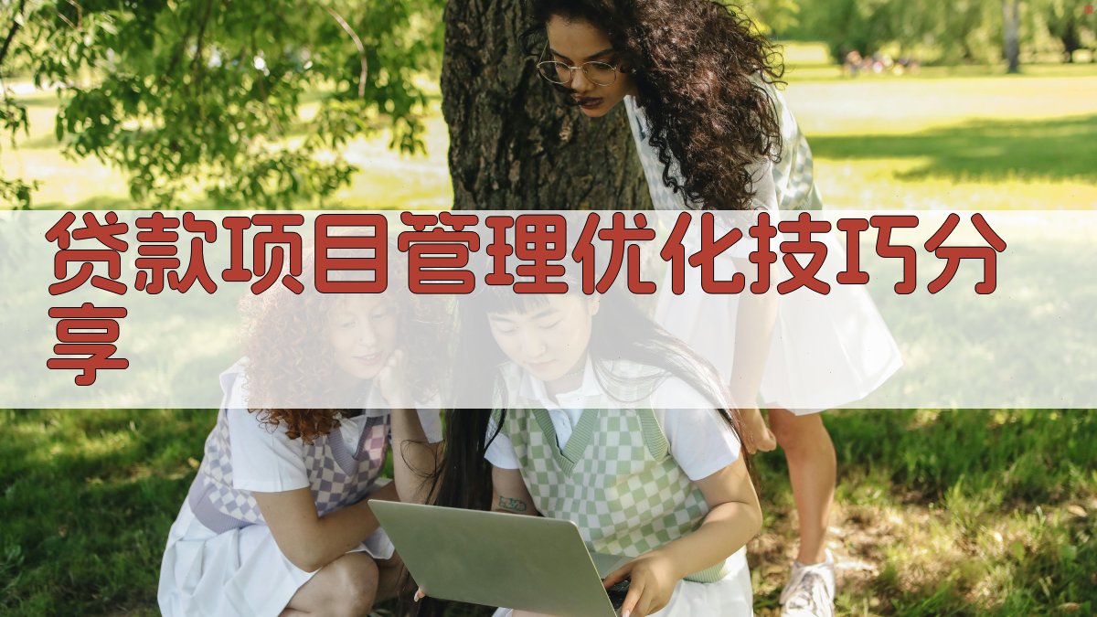 AI贷款项目管理优化技巧分享