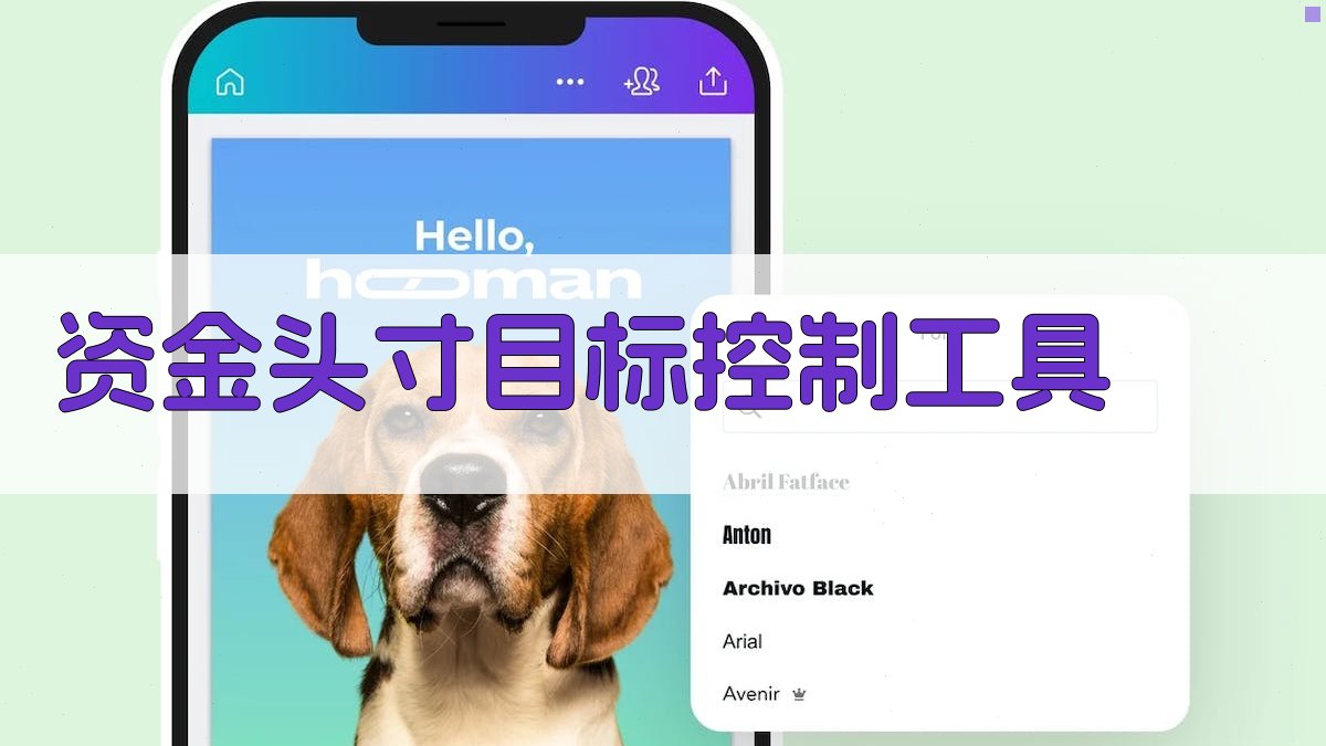 资金头寸目标控制工具