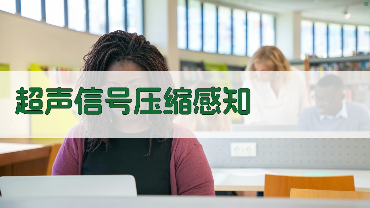 超声信号压缩感知分析