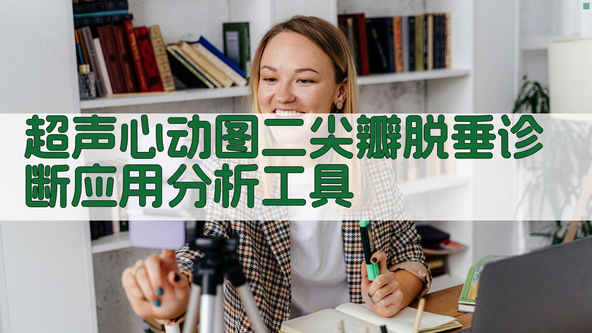 超声心动图二尖瓣脱垂诊断应用分析工具