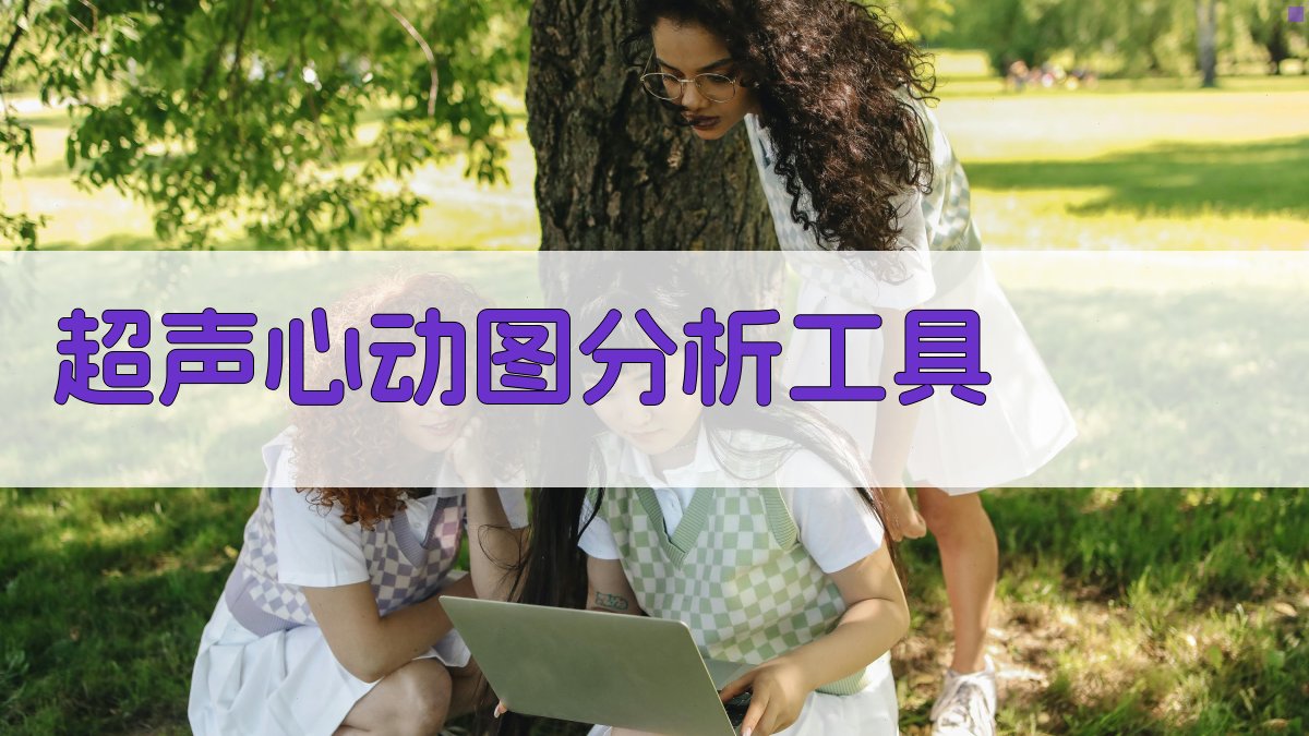 AI超声心动图分析工具