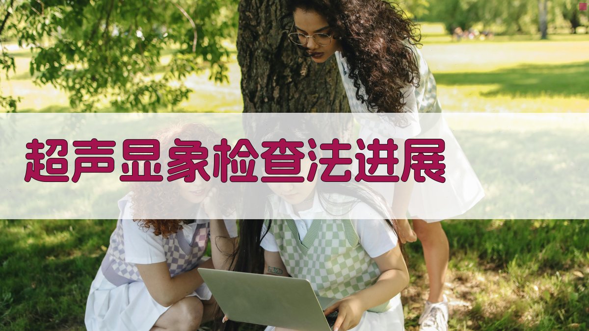 AI超声显象检查法进展分析