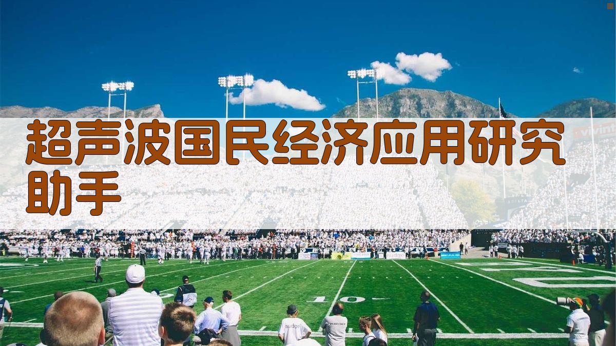 AI超声波经济应用分析