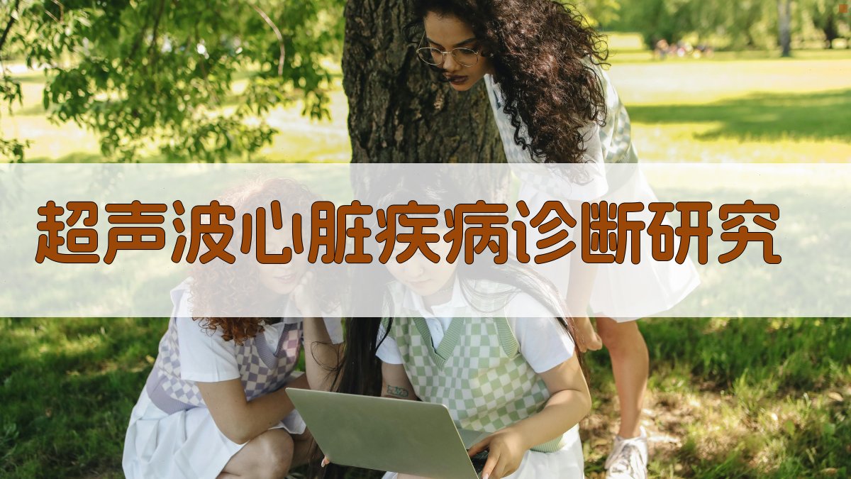 超声波心脏疾病诊断研究