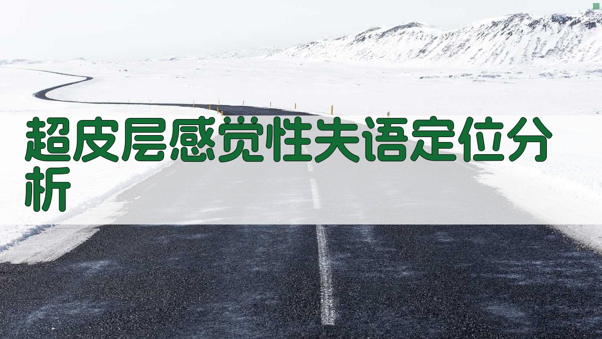 超皮层感觉性失语定位分析