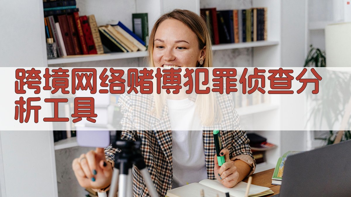 AI跨境网络赌博犯罪侦查分析