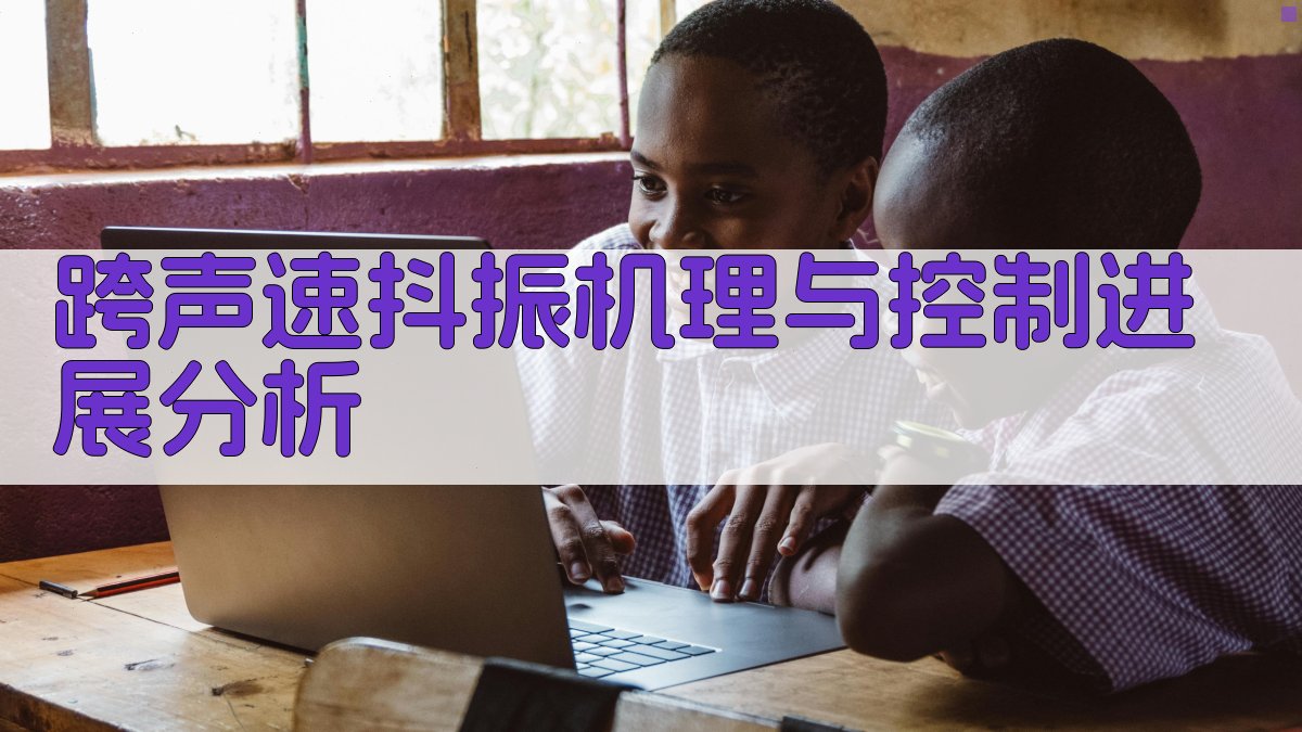 AI跨声速抖振机理与控制进展分析