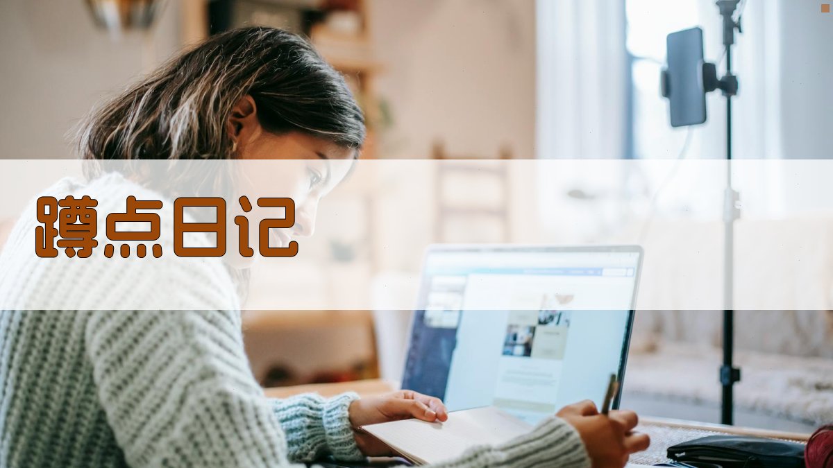 AI一键生成蹲点日记