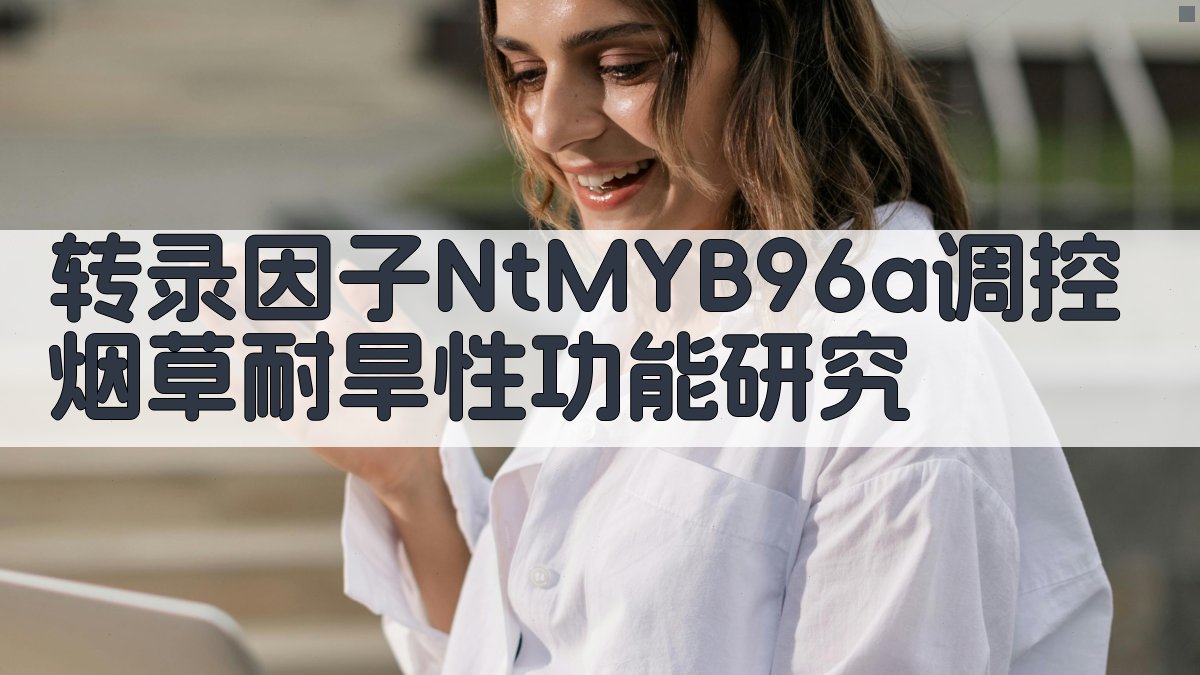 AI一键生成转录因子NtMYB96a调控烟草耐旱性功能研究论文目录