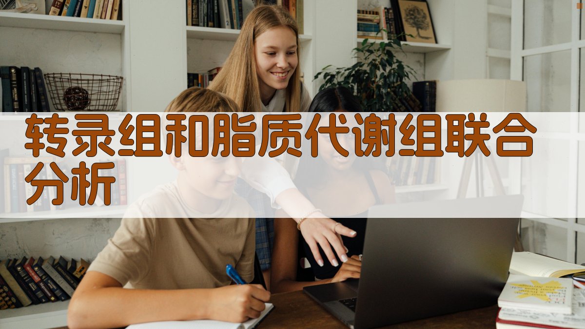 转录组和脂质代谢组联合分析