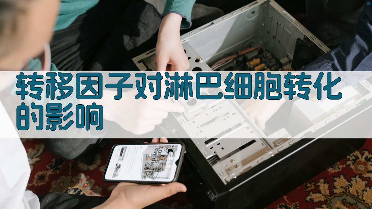 转移因子对淋巴细胞转化的影响