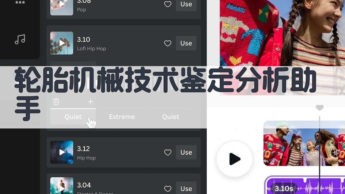轮胎机械技术鉴定分析助手