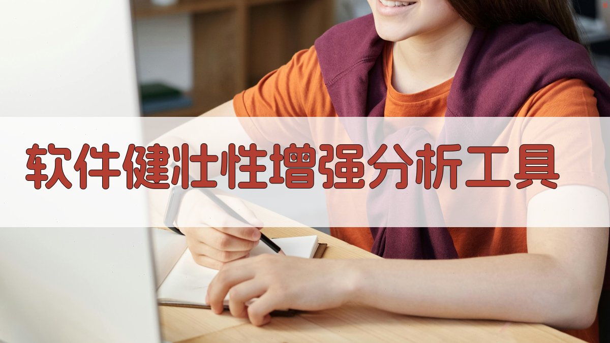 AI软件健壮性增强分析工具