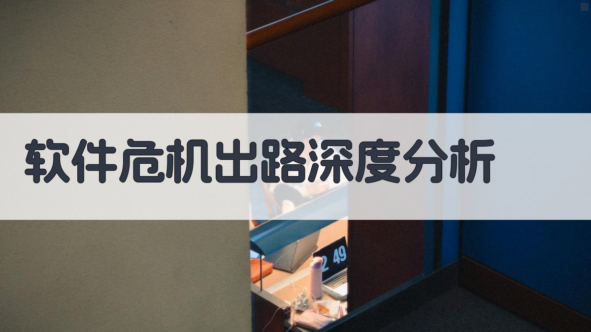 软件危机出路深度分析