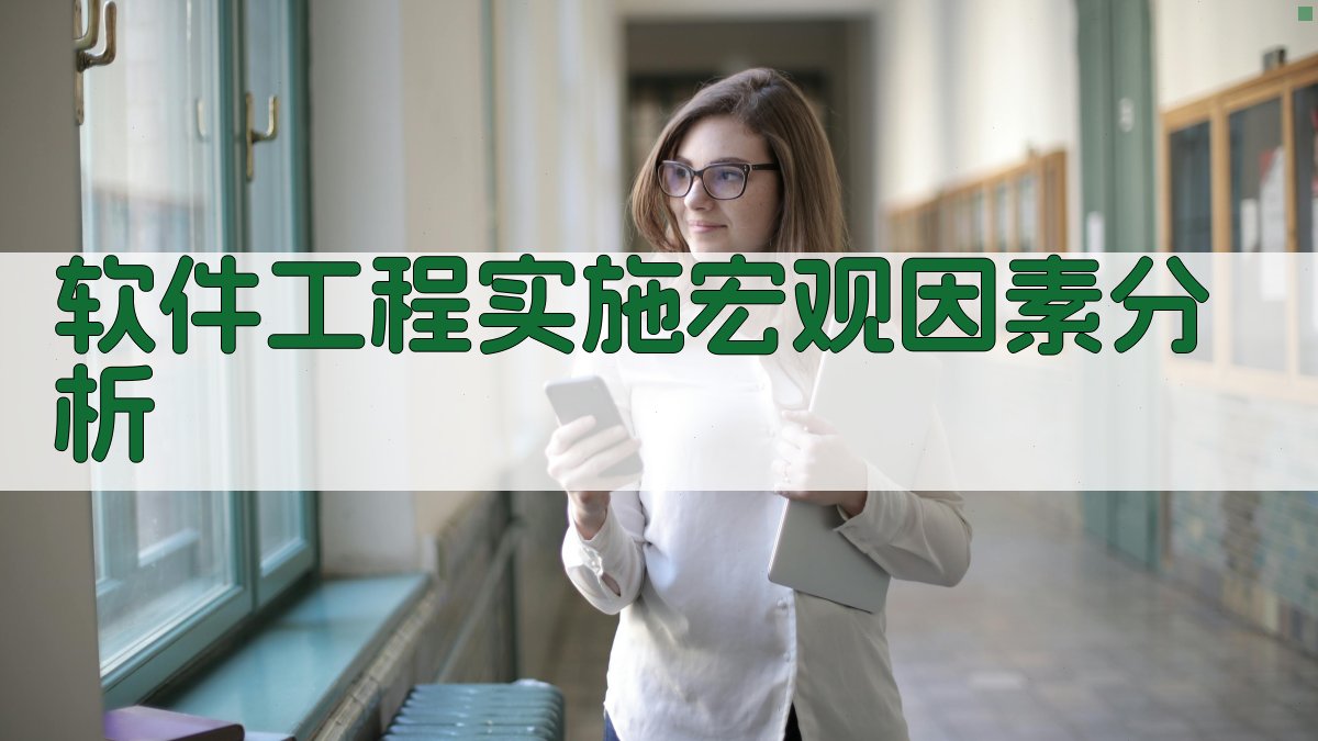 AI软件工程实施宏观因素分析