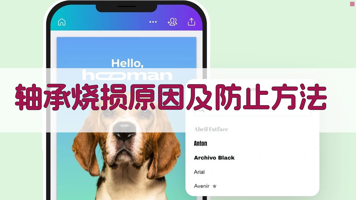 轴承烧损原因及防止方法分析