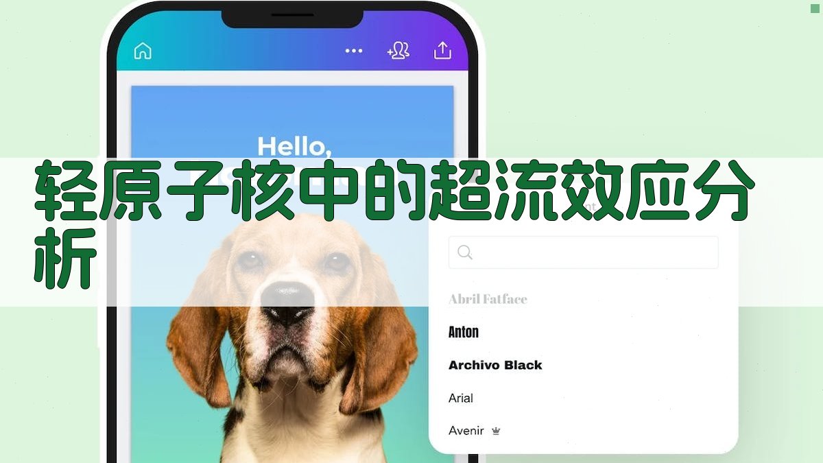 轻原子核中的超流效应分析