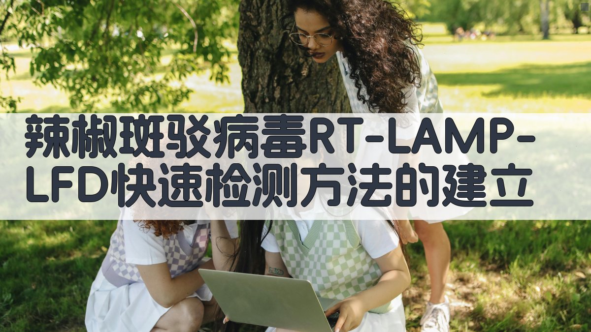 辣椒斑驳病毒检测