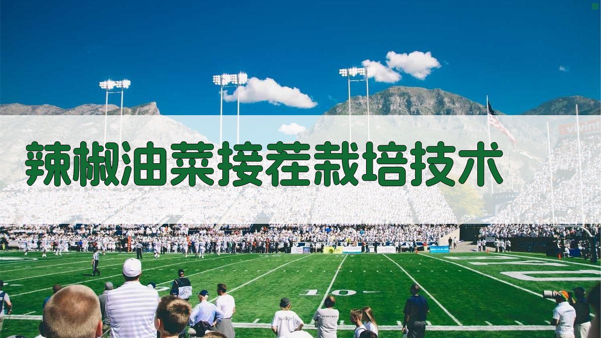 AI一键生成辣椒油菜接茬栽培技术方案