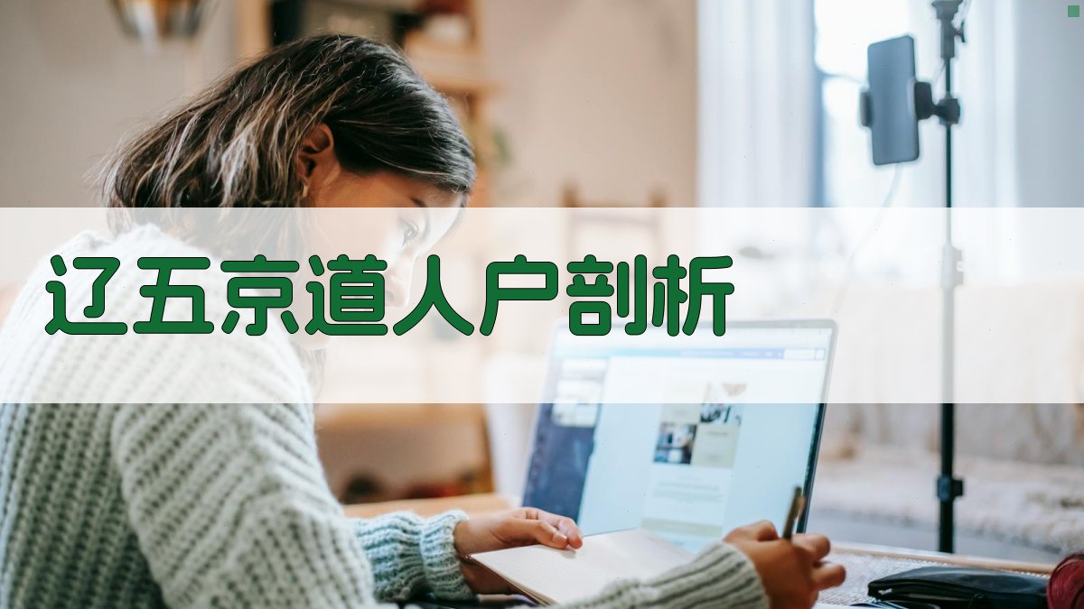 辽五京道人户剖析