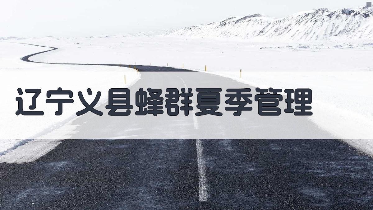 辽宁义县蜂群夏季管理