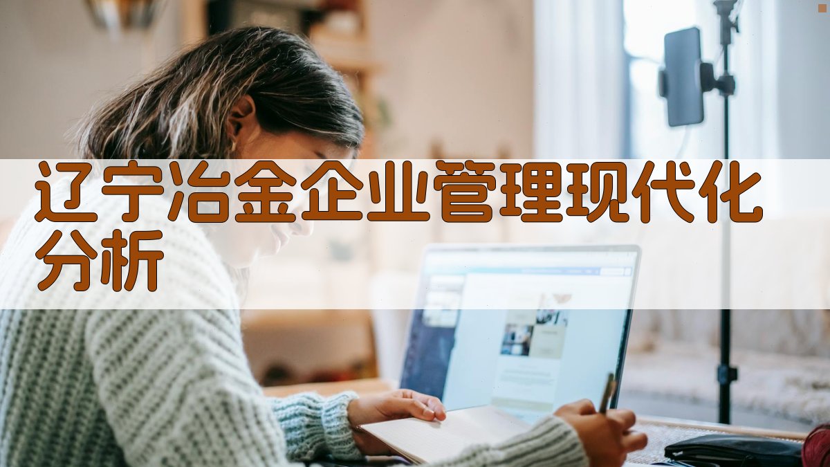 辽宁冶金企业管理现代化分析