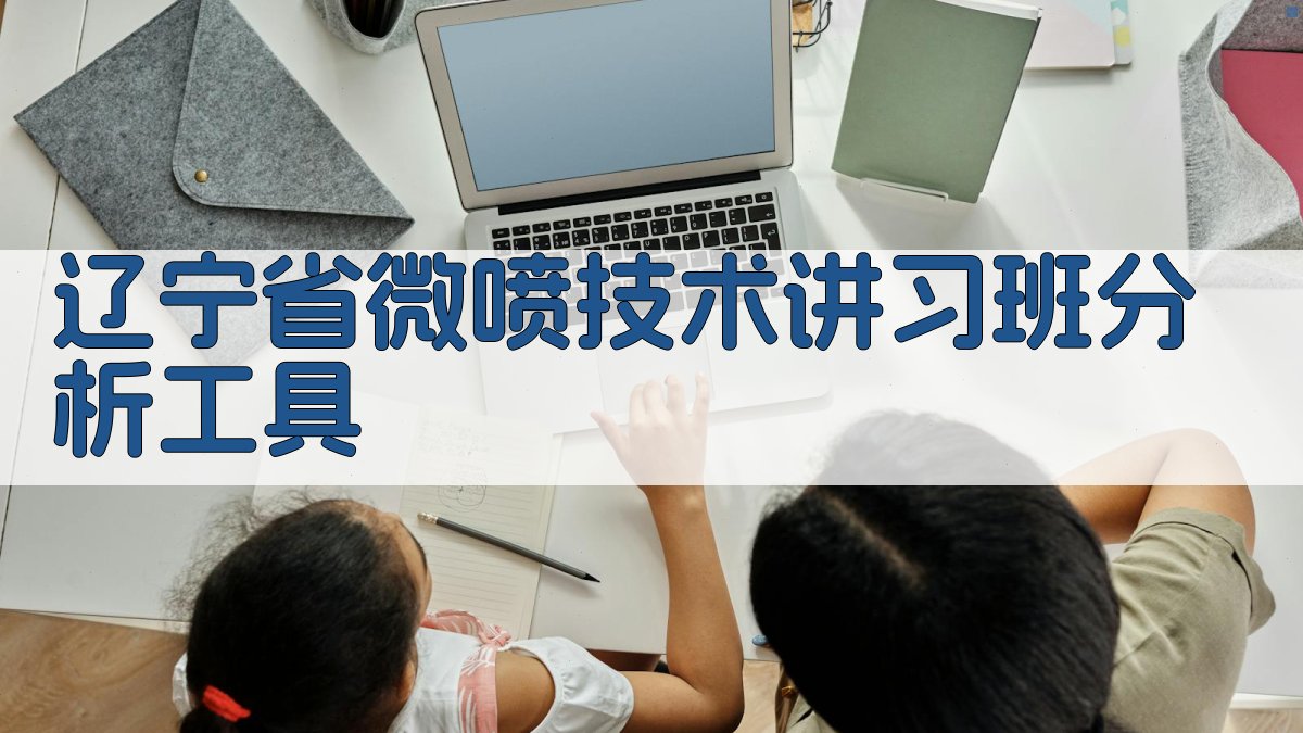 辽宁省微喷技术讲习班分析工具