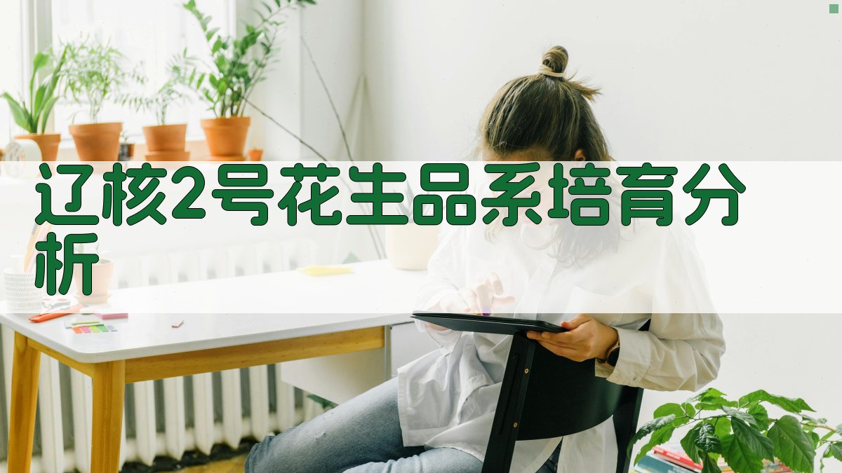 辽核2号花生品系培育分析