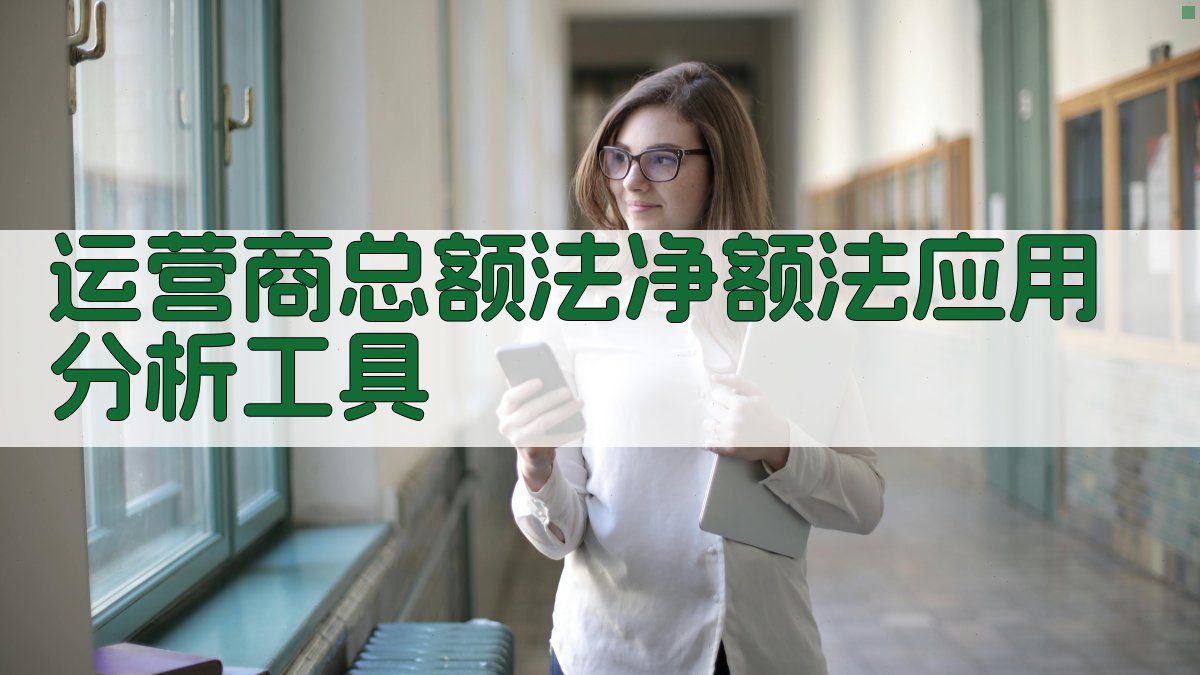 总额法净额法应用分析