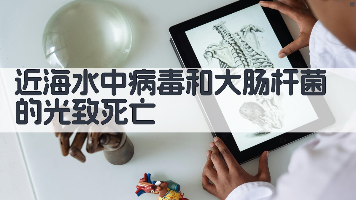 AI智能分析：近海水中病毒和大肠杆菌的光致死亡