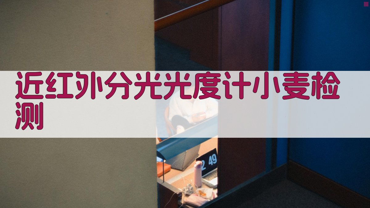 51A近红外分光光度计小麦检测