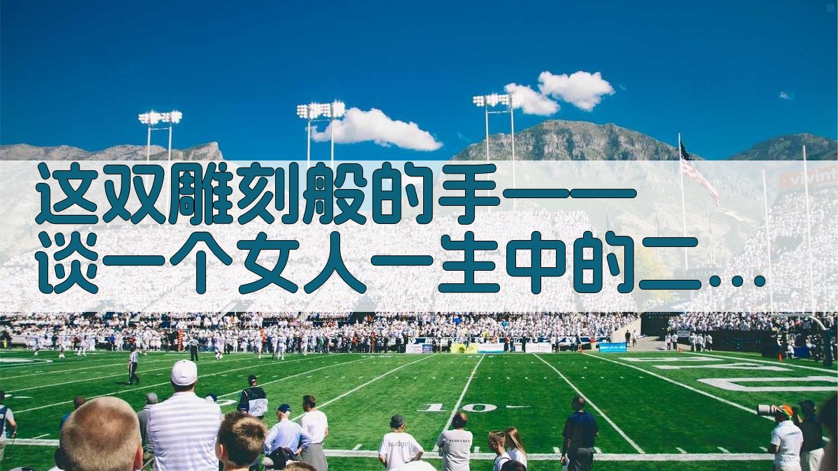 文学细节描写解析