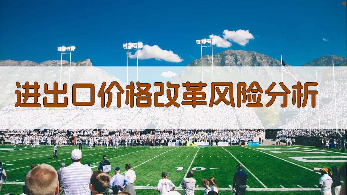 AI进出口价格改革风险分析