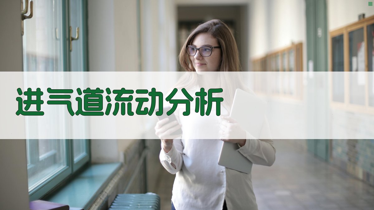 AI智能进气道流动分析