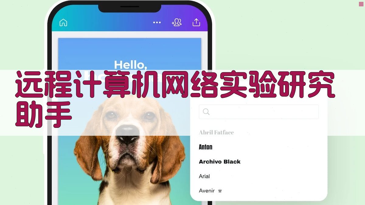 远程计算机网络实验研究助手