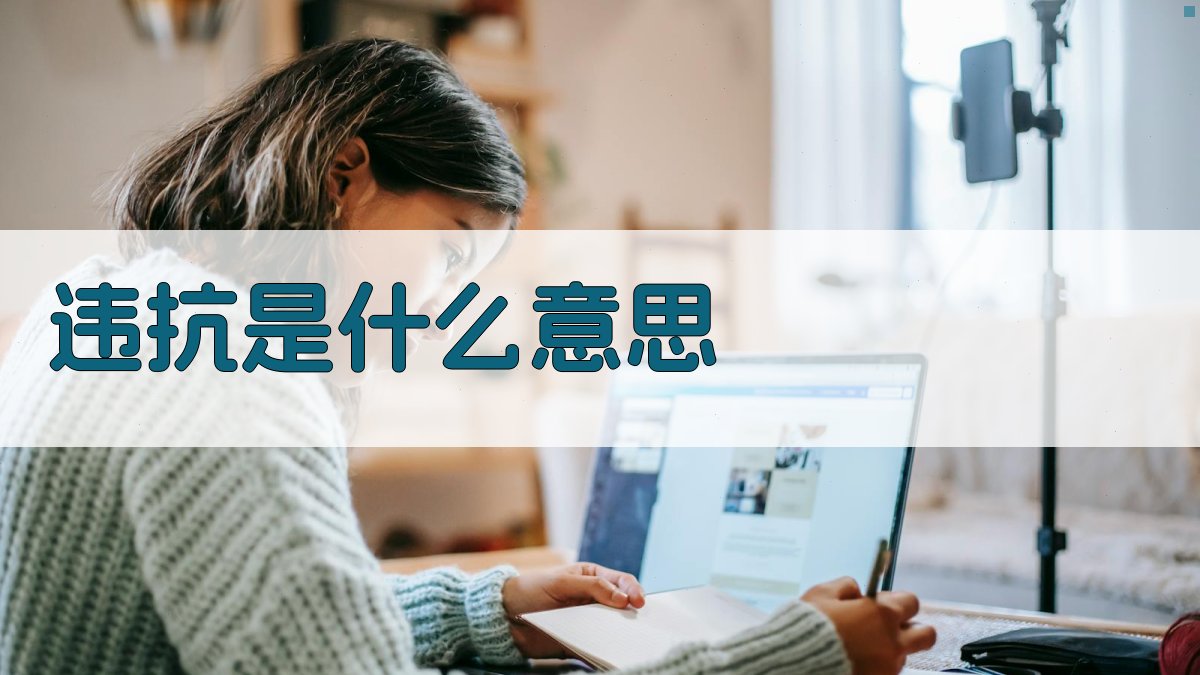 AI词汇深度解析