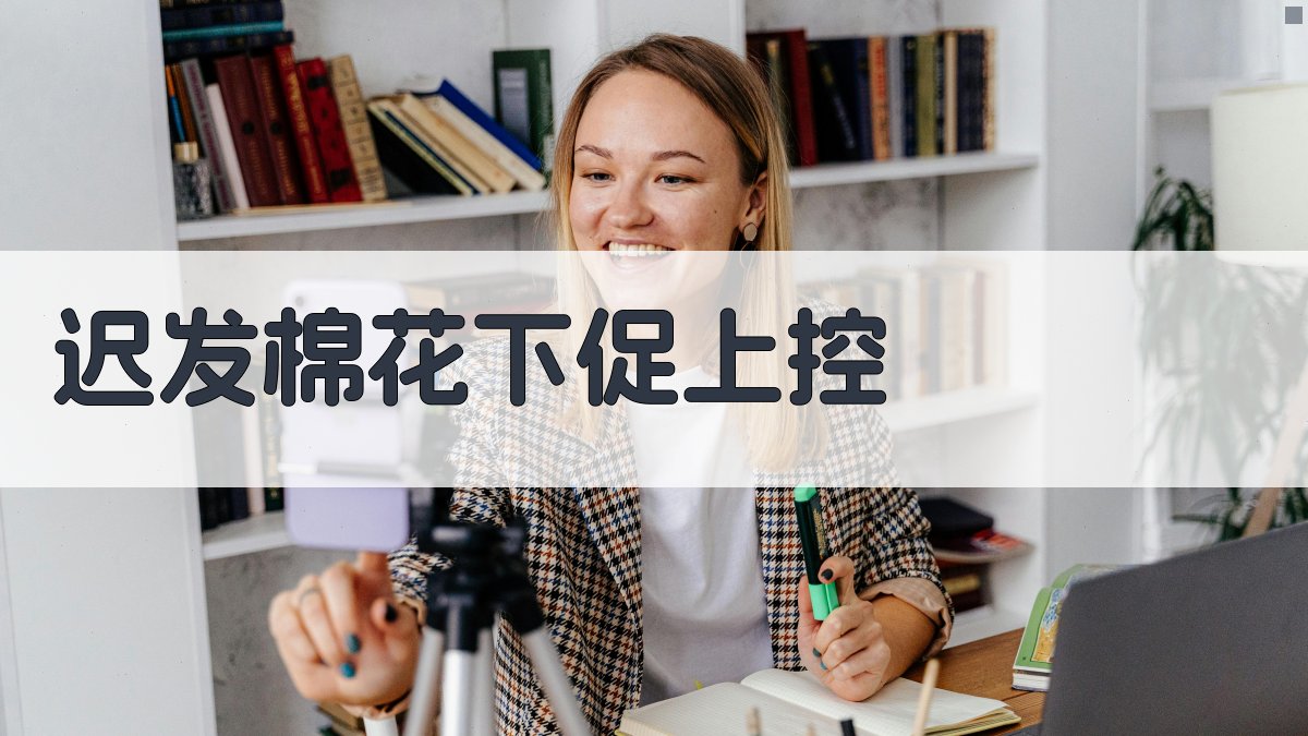 迟发棉花下促上控技术方案