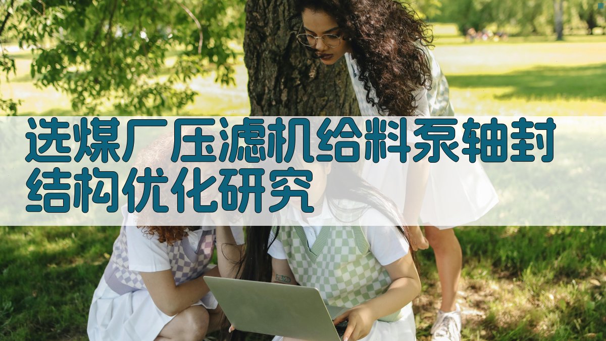 选煤厂压滤机给料泵轴封结构优化研究
