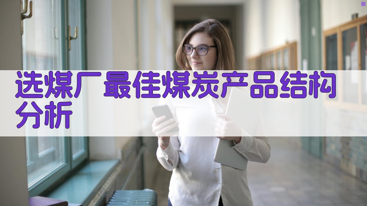 选煤厂最佳煤炭产品结构分析