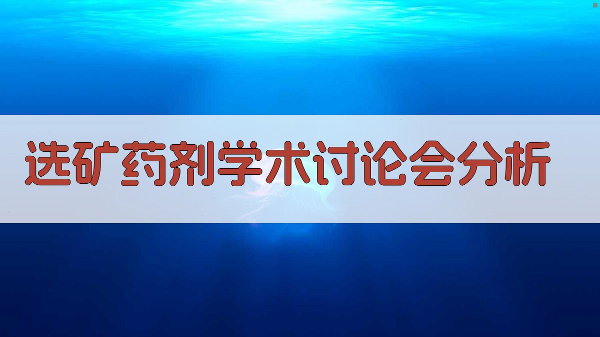 选矿药剂学术讨论会分析