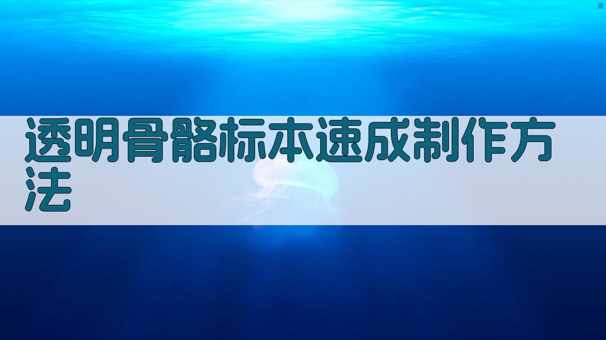 透明骨骼标本速成制作方法