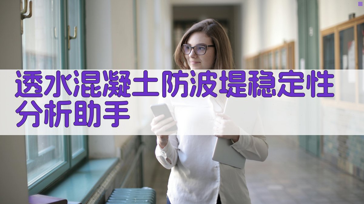 AI透水混凝土防波堤稳定性分析助手