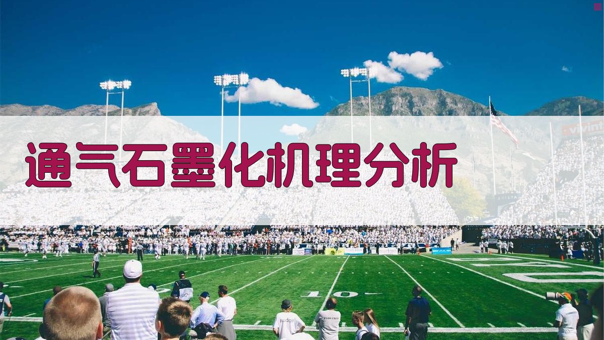 AI通气石墨化机理分析工具