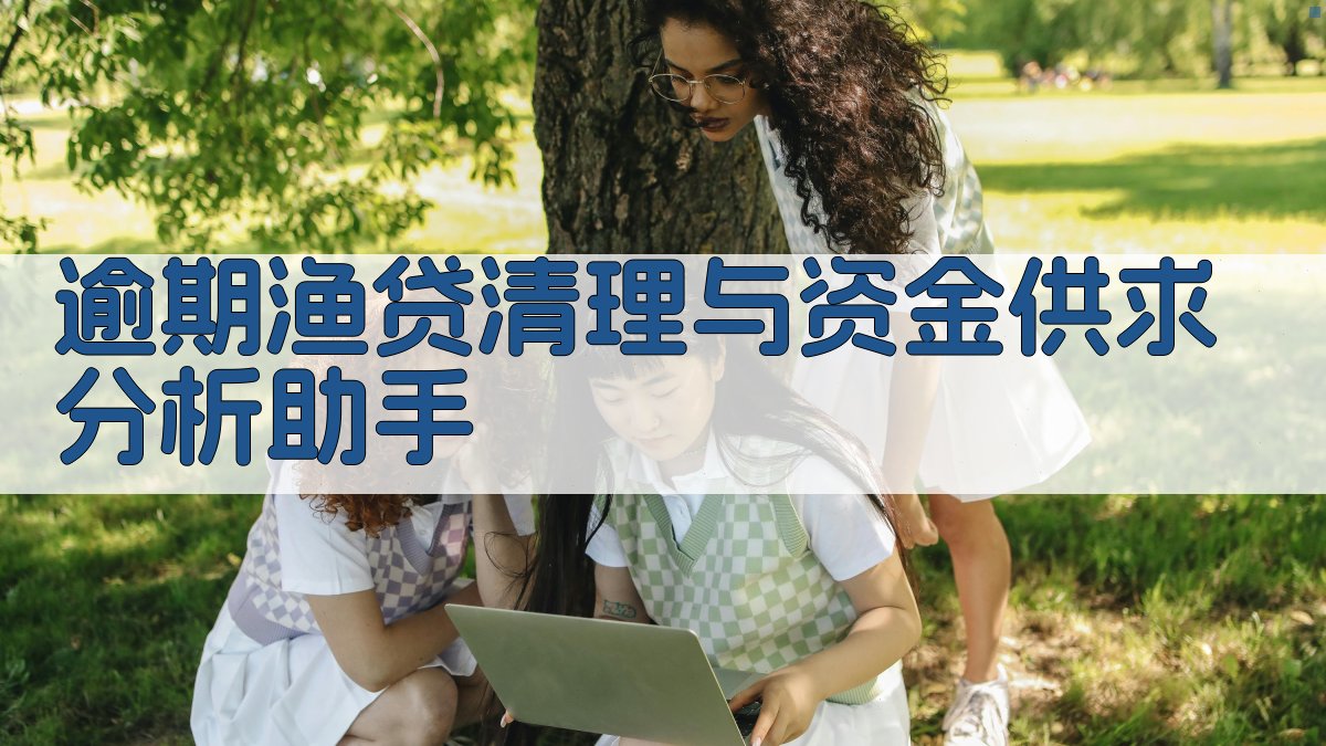 逾期渔贷清理与资金供求分析助手