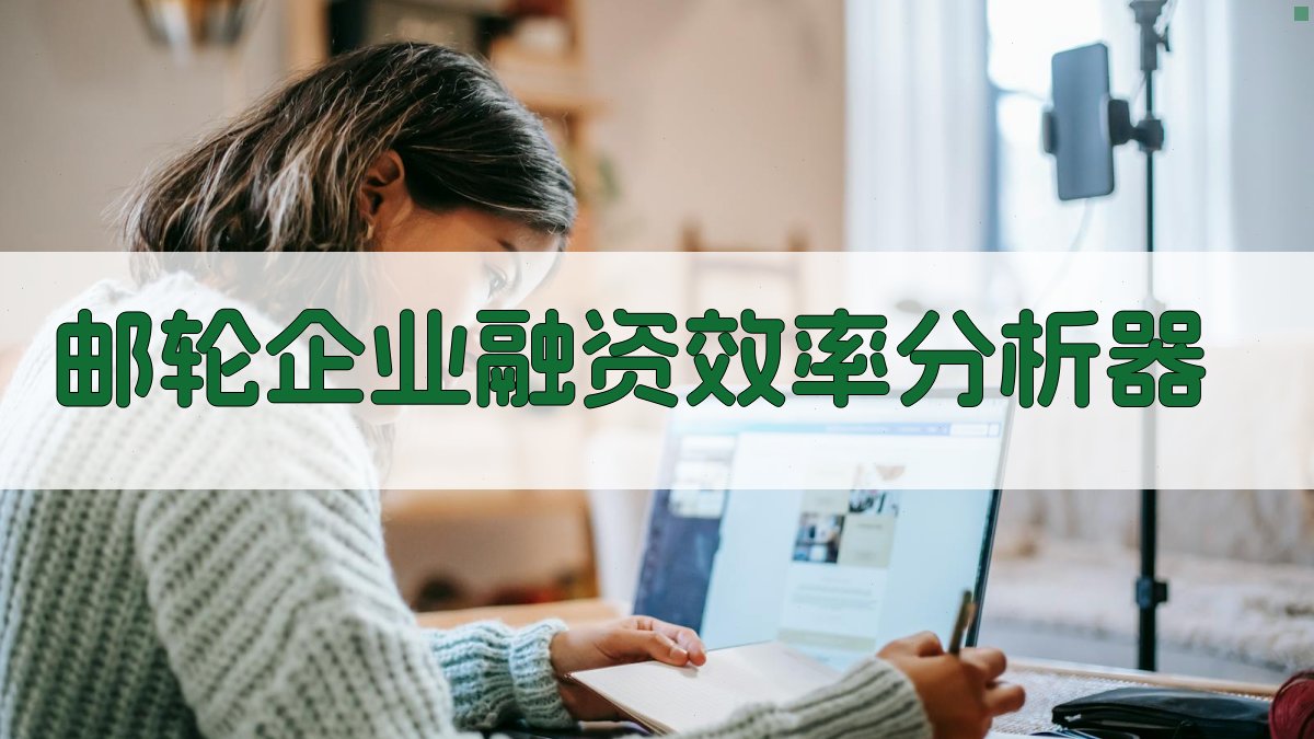 邮轮企业融资效率分析器