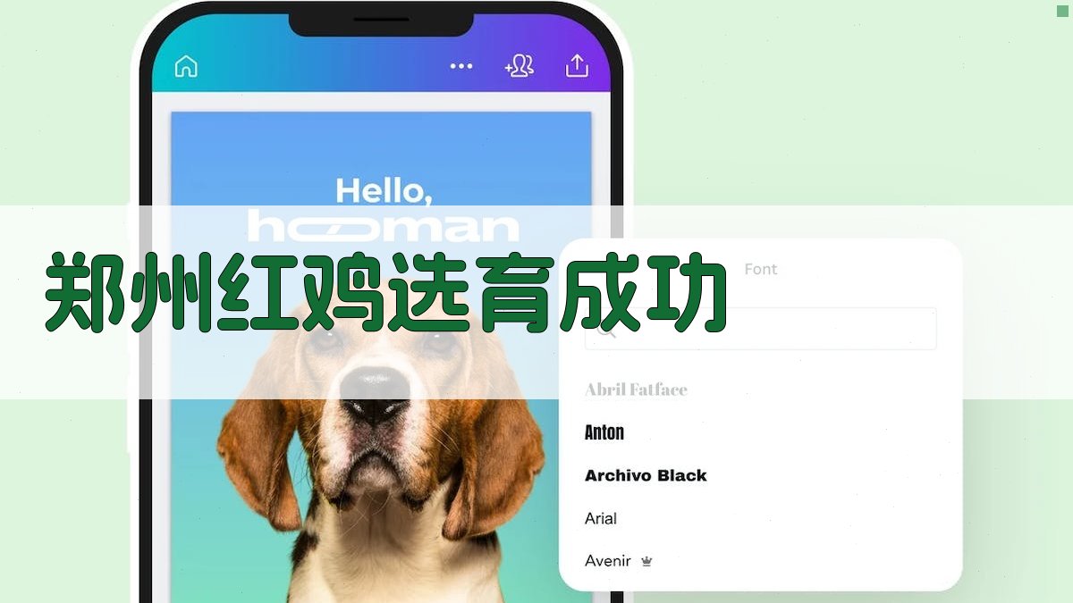 AI一键生成郑州红鸡选育成功故事