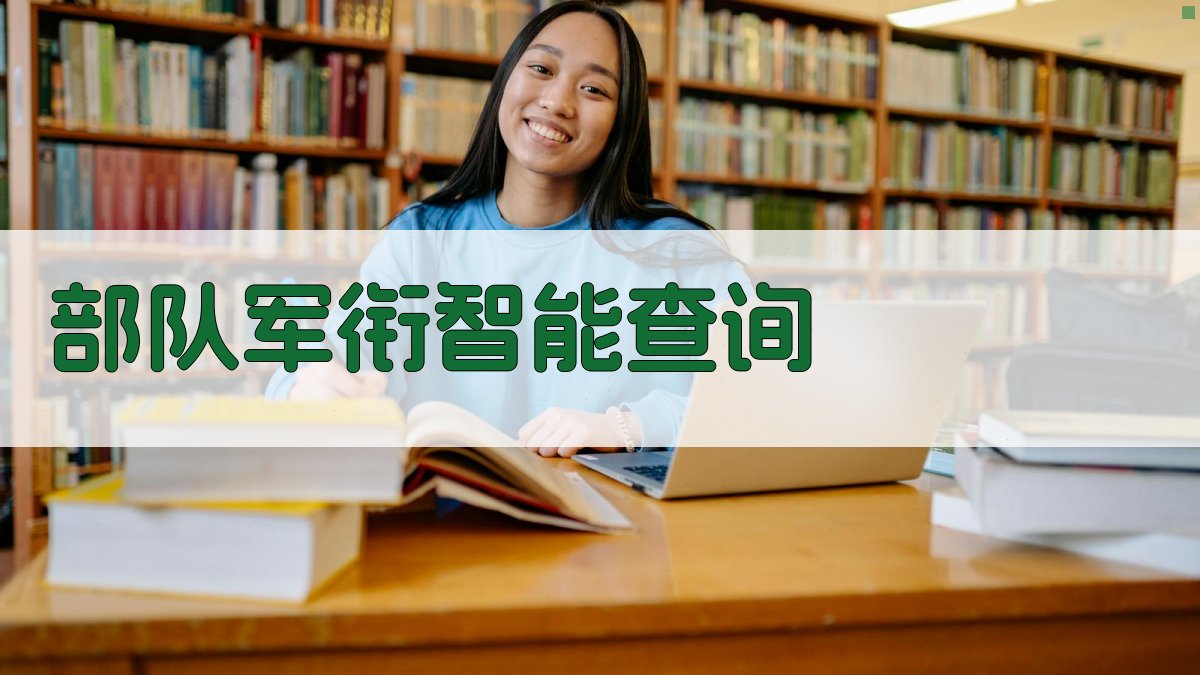 AI部队军衔智能查询