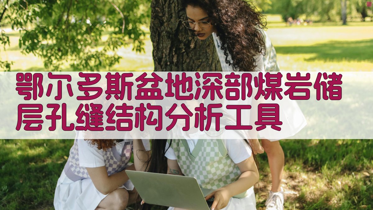 鄂尔多斯盆地深部煤岩储层孔缝结构分析工具